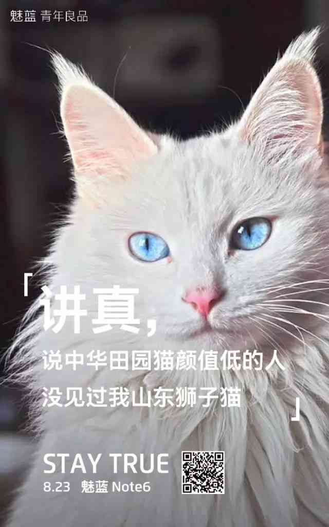 ai动物变身文案