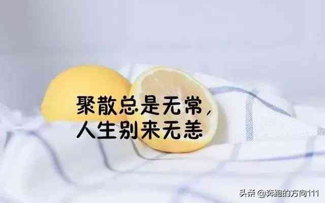 青春文案暗恋短句：伤感霸气交织，青春暗恋的句子集锦