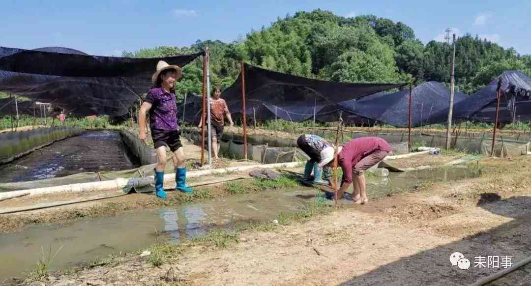 尘肺病工伤认定程序：南阳生监定流程、认定办法及时长规定