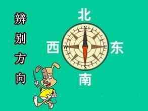 全方位解析：头条插画精选、创作技巧与流行趋势解读