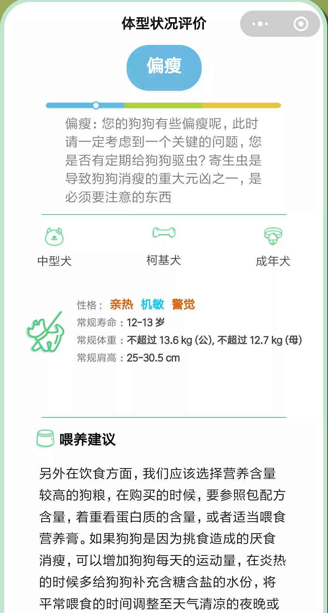 头条AI绘画文案