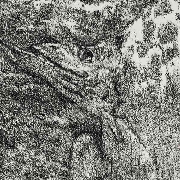 深入探讨绘画技巧：全面解析细节描写的艺术与实践