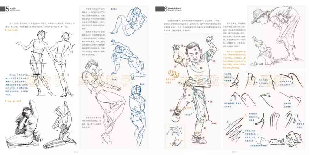 '高效速写工具：热门软件一键获取'