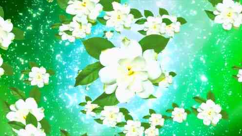 古典韵味：茉莉花旋律背景音乐精选