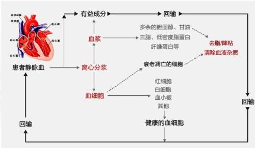 峡部裂：探讨自愈可能性与治疗策略全解析