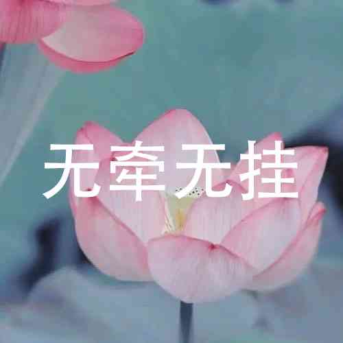 莲花配文：书中寻觅莲花佳句，打造独特莲花文字头像