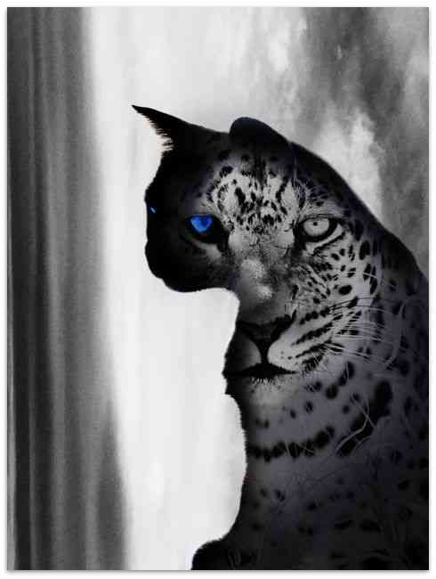 AI人变成猫文案怎么做：绘制人变猫教程详解