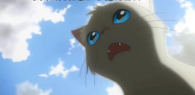 神秘变身！探索人猫转换的奇幻动漫精选与深度解读