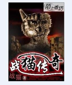 《奇幻变形：人类与猫咪的神秘交融之旅》