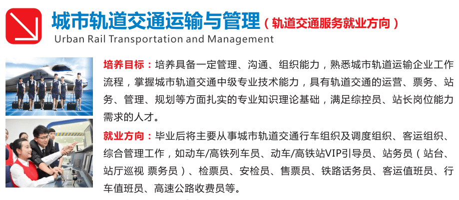 专业文章写作服务：量身定制，高效输出