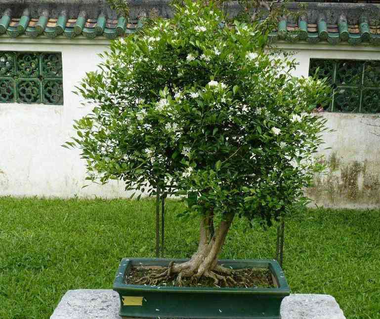揭秘虚实反差：盘点高效率AI创作软件的神器清单