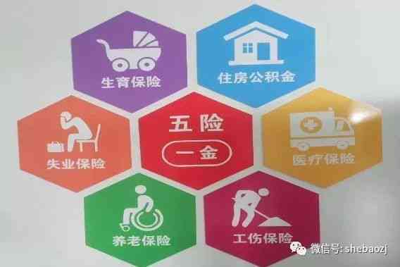 工伤保险代缴服务：费用计算、流程详解与合规指南