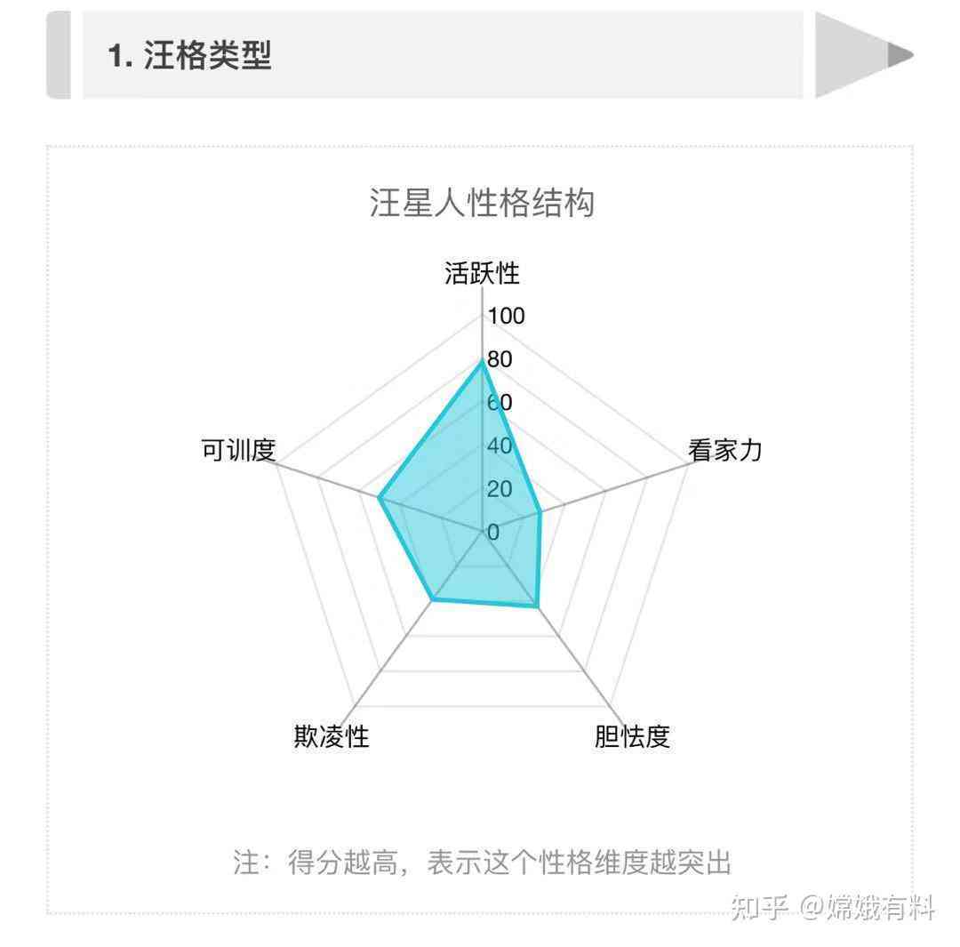 性格报告ai