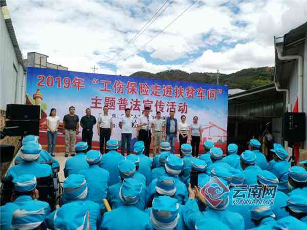 工伤认定：参保与否对工伤待遇的影响解析