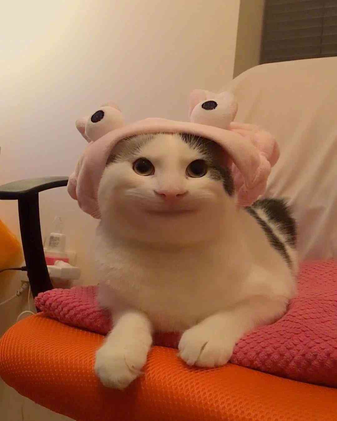 猫咪绘画教程：从基础技巧到创意灵感，全方位掌握画猫的艺术