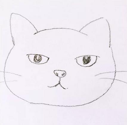 猫咪绘画教程：从基础技巧到创意灵感，全方位掌握画猫的艺术