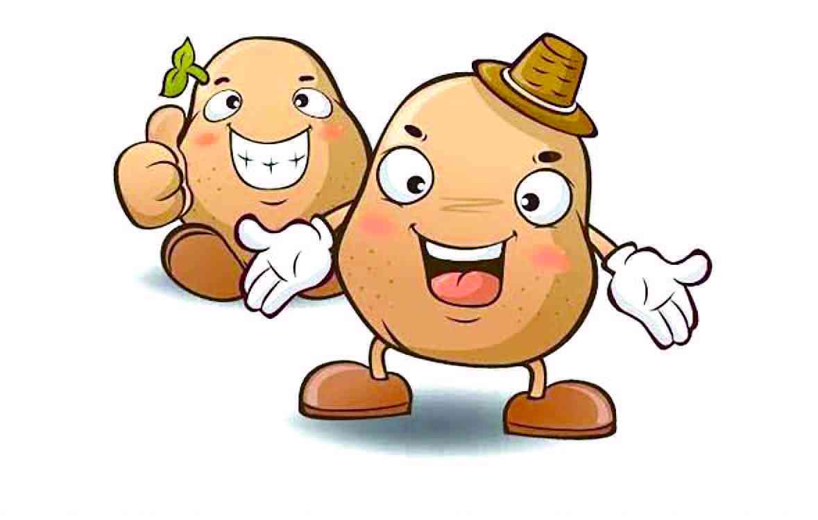 探索土豆魅力：创意土豆主题作文写作指南