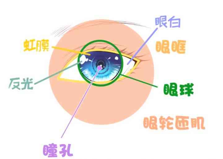 掌握全面攻略：如何制作吸引眼球的二次元AI特效文案，覆用户热门搜索需求