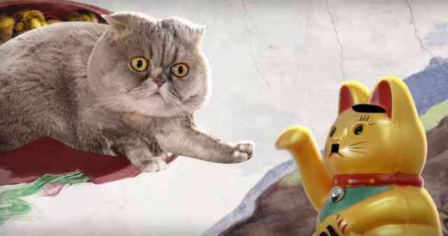 小猫AI变身文案：打造动画片短句，变身小猫咪趣事