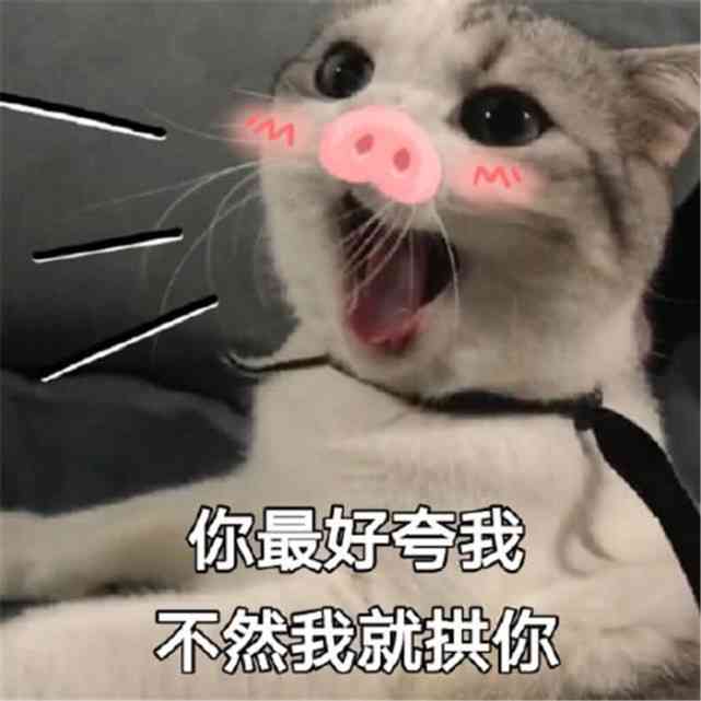 萌宠变形记：全方位探索如何变身小猫咪与相关问题解答