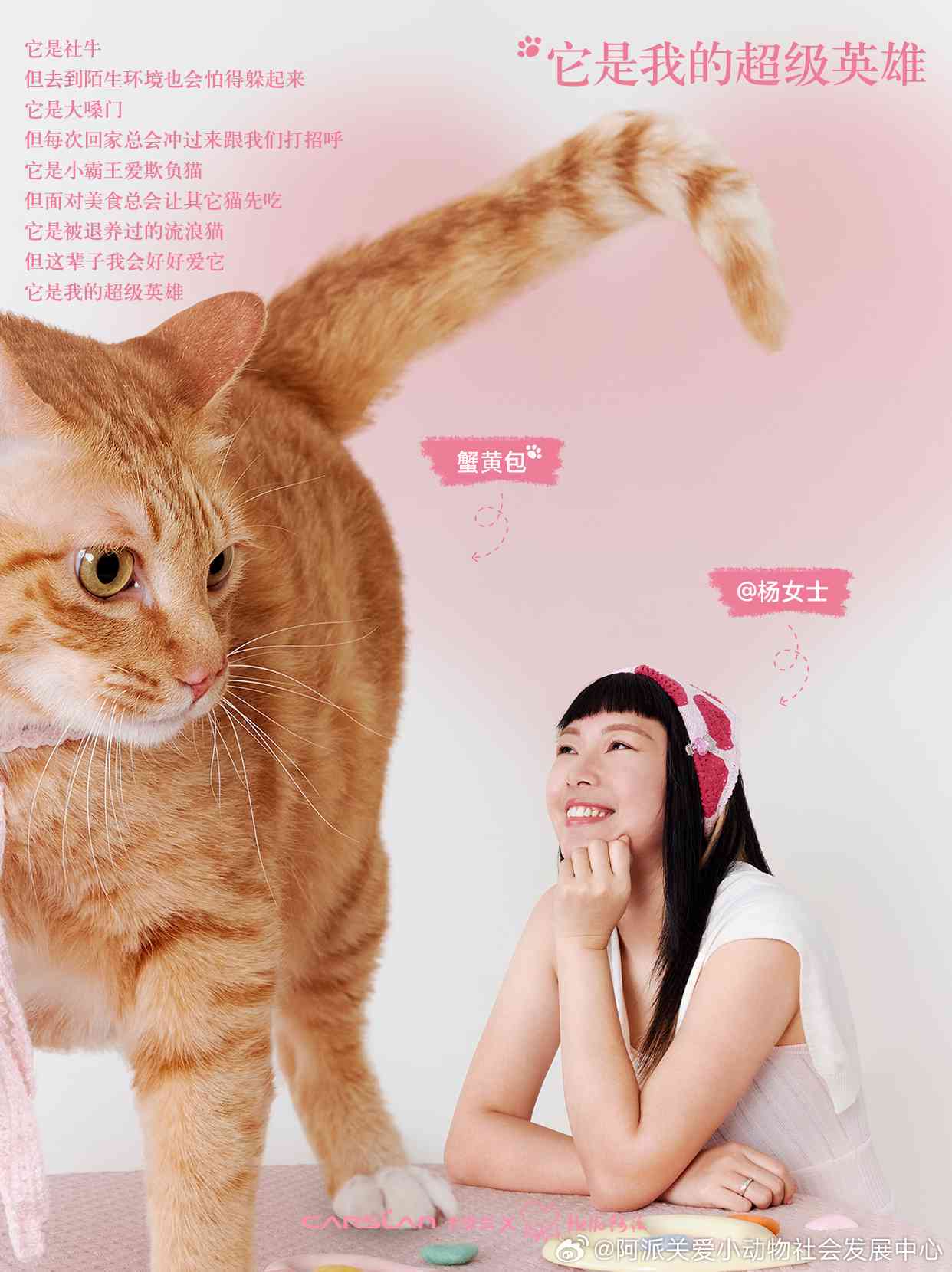 萌宠变形记：全方位探索如何变身小猫咪与相关问题解答