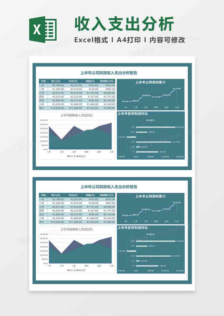 ai行业公司分析报告模板