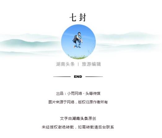 探索蜻蜓生态：如何撰写一篇引人入胜的蜻蜓专题文章