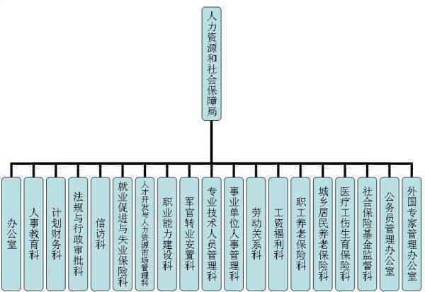 工伤认定科隶属于人力资源和社会保障部门的管理架构分析