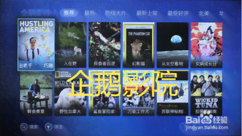 'AI影视解说文案效果评测：实用性与安全性深度解析'