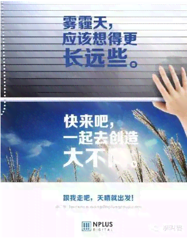 主播介绍产品文案ai