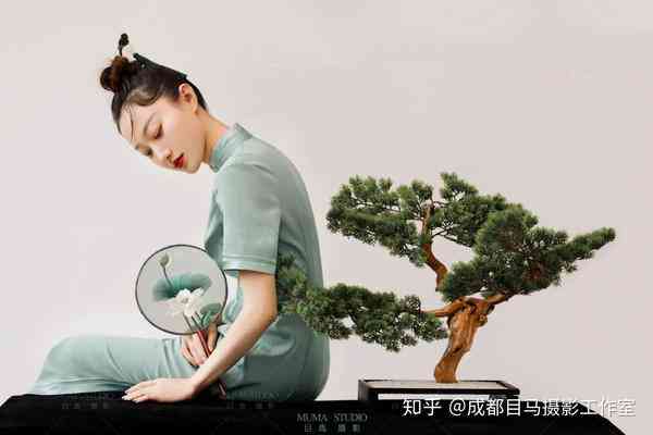 AI国风摄影文案创意集锦：涵经典与现代元素，满足各类国风写真需求