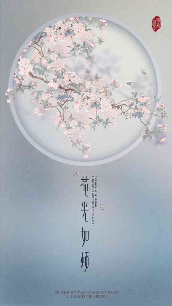 传统美学·国风风格摄影集锦——领略古典与现代交融之美