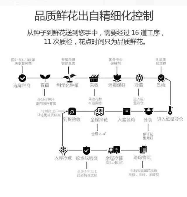 全方位掌握带货秘：打造高转化率的创意营销文案攻略