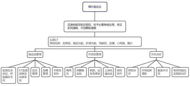职业期间脑出血事故责任界定与划分指南