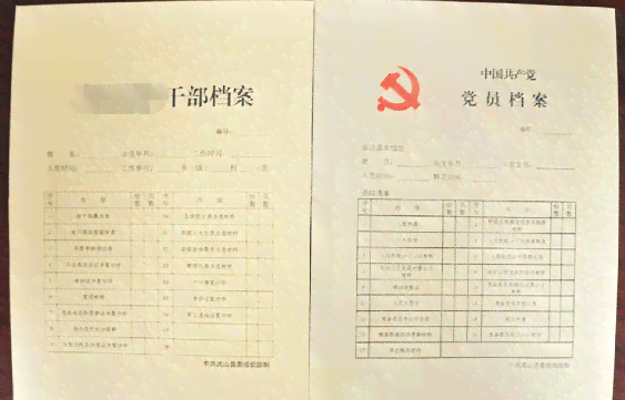 '工作履历证明在求职中的实际效用与重要性分析'