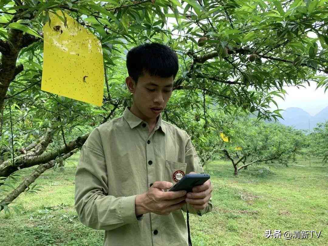 '如何运用AI技术撰写引人入胜的乡村风情文案'