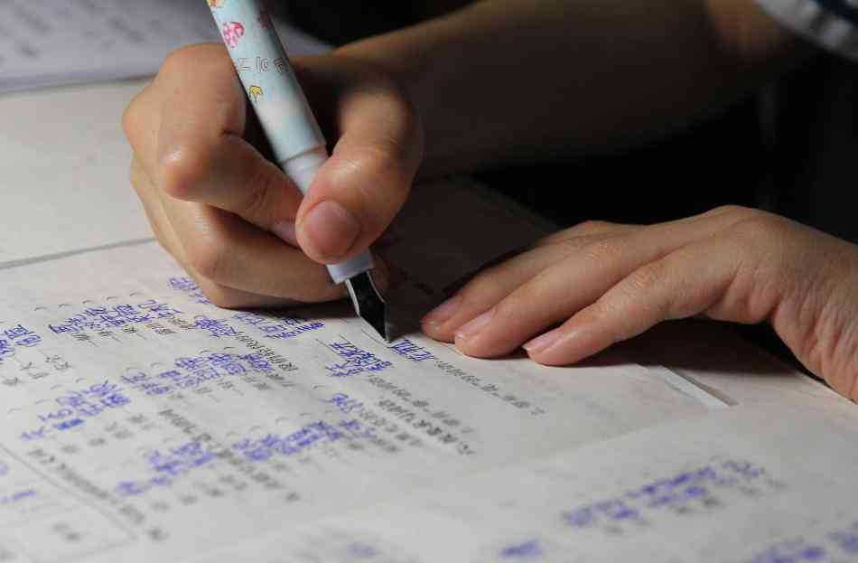 小学生作文精选：《爱》的主题探讨与写作技巧分析