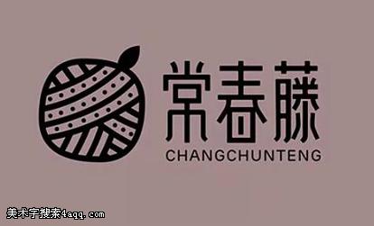 AI创意字体Logo设计全攻略：从构思到成品，一站式掌握字体Logo制作技巧