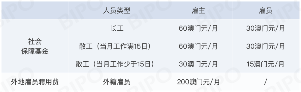 工作间歇期：社保缴纳指南、英文表达、适宜运动及时间认定
