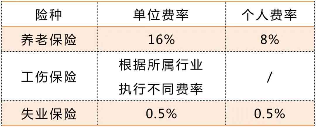 工作间歇期：社保缴纳指南、英文表达、适宜运动及时间认定