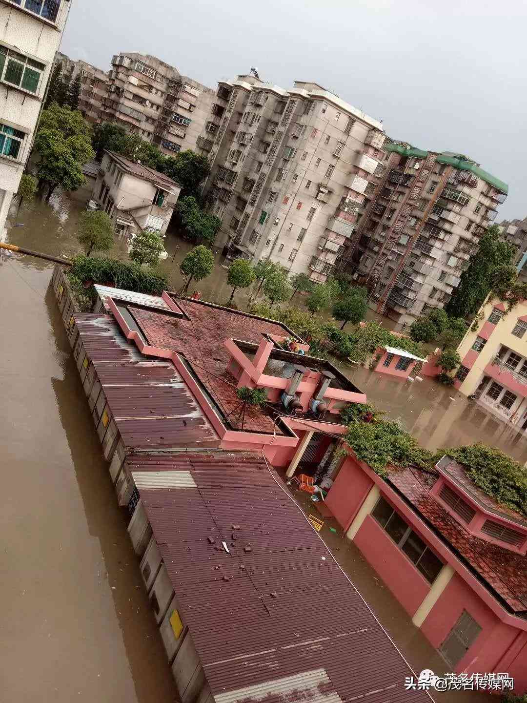 '遭遇袭击的工厂应对策略：如何有效处理安全事故'