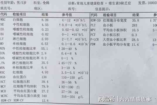 AI智能解读血常规报告，全面解析各项指标及临床意义
