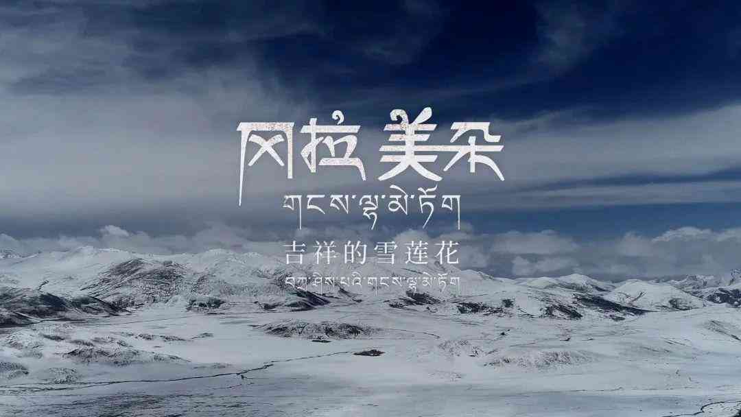 创作全攻略：从脚本构思到绘制技巧一站式学指南