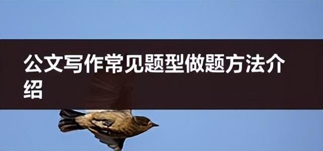 2023年中国AI智能写作大赛完整获奖名单及赛事精彩回顾