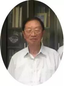 学位论文写作全解析：揭秘关键环节与成功要素