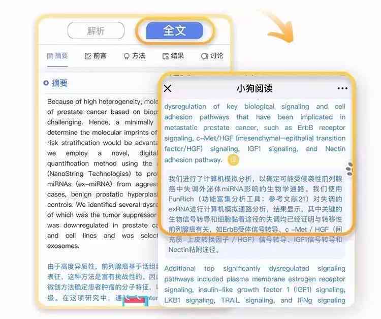 医学英语文献阅读与翻译：推荐高效软件工具