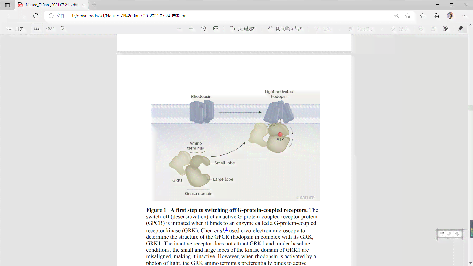 医学英语写作电子版：教材PDF、答案与翻译