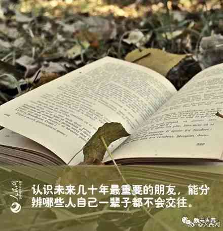 校园风景美的简短文案：短句、文案句子、文案长句汇编