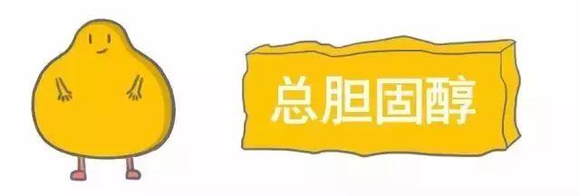 健体检结果智能解读助手