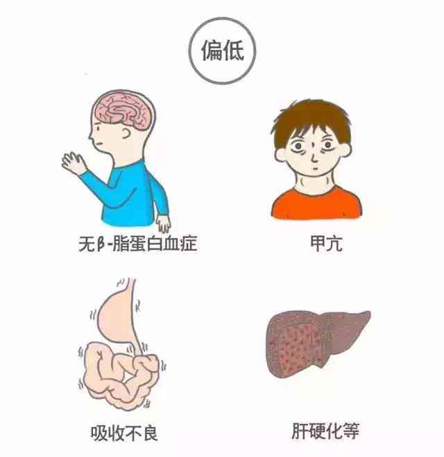 健体检结果智能解读助手